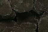 Polished Septarian Geode - Madagascar #137939-2
